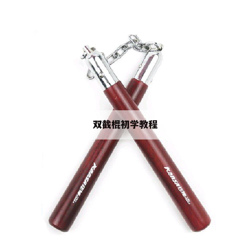 双截棍初学教程