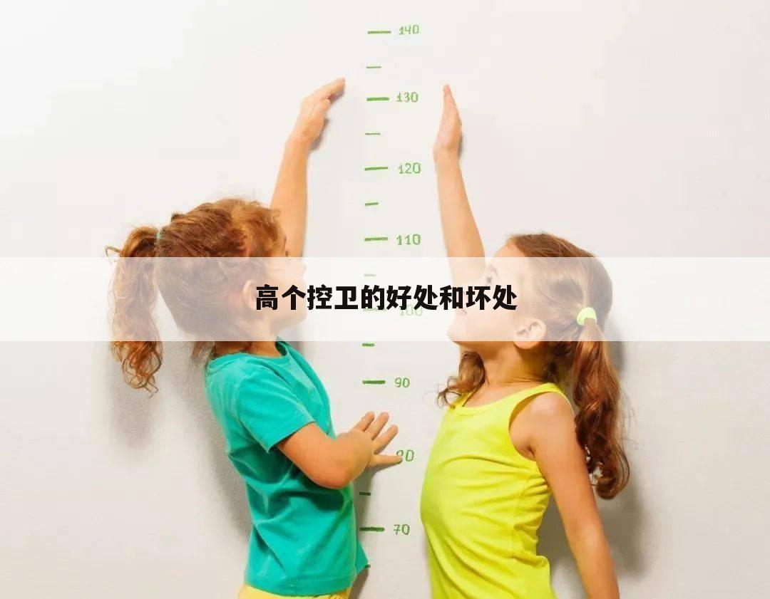高个控卫的好处和坏处