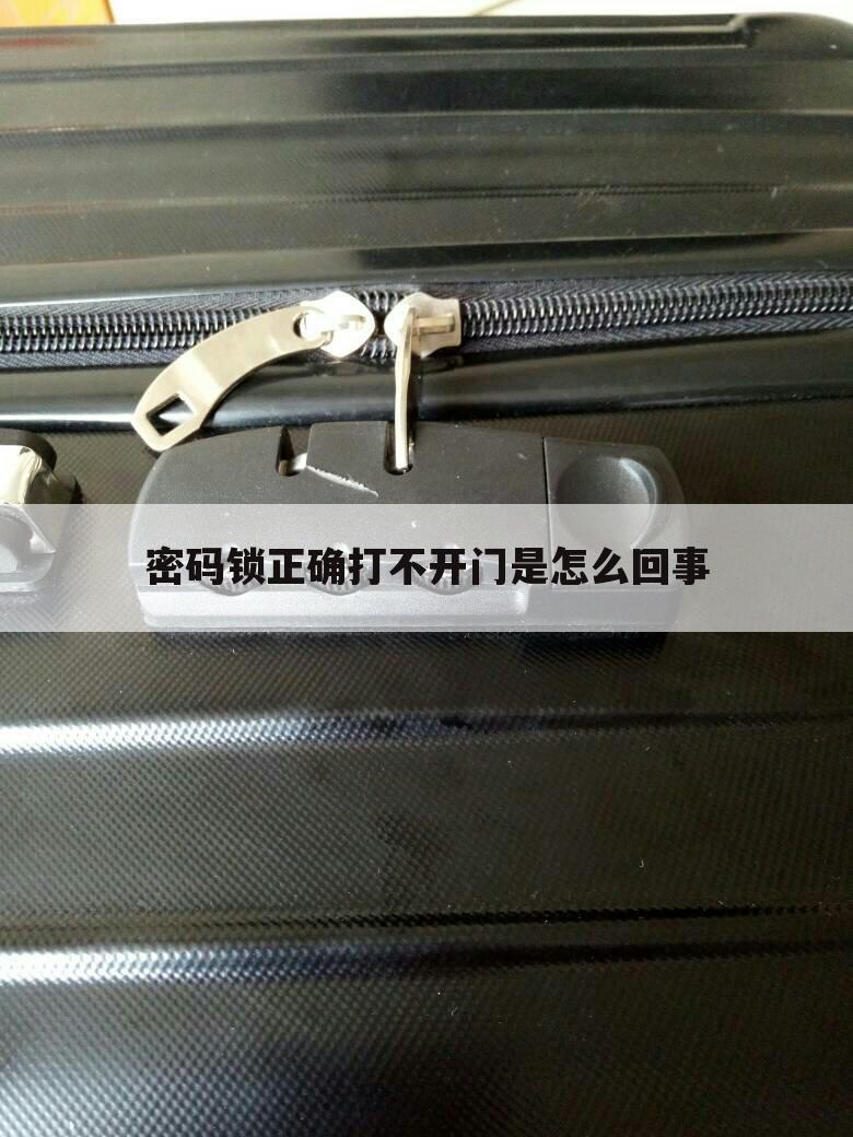 密码锁正确打不开门是怎么回事