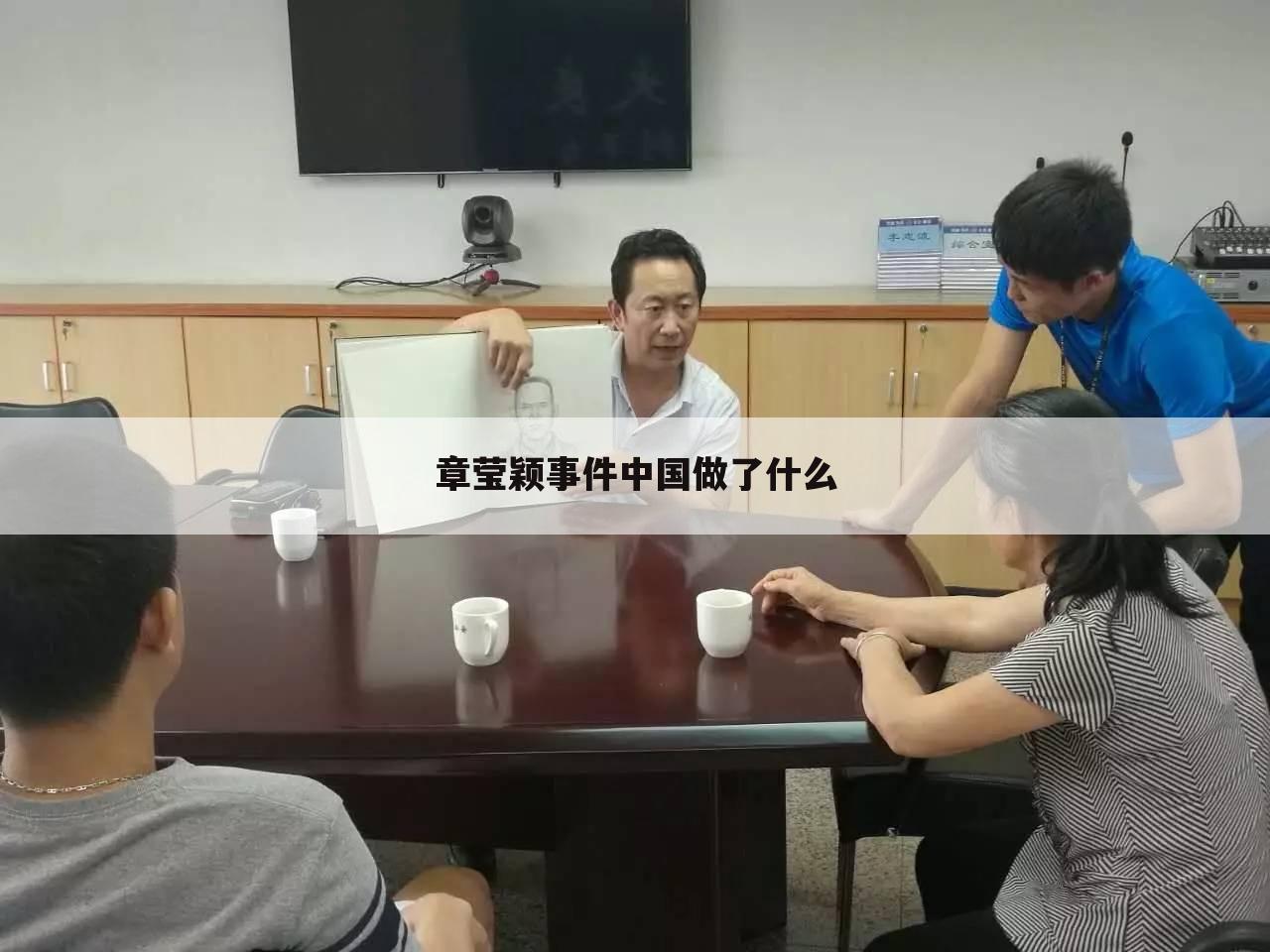 章莹颖事件中国做了什么