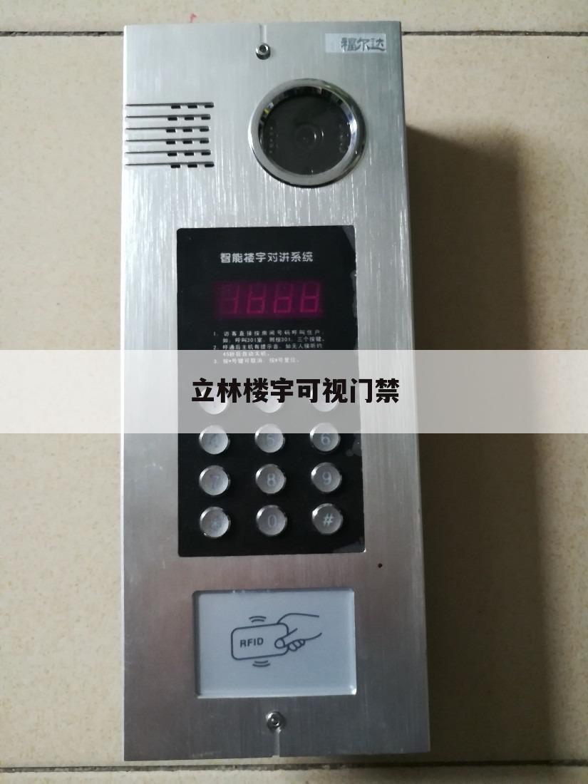 立林楼宇可视门禁