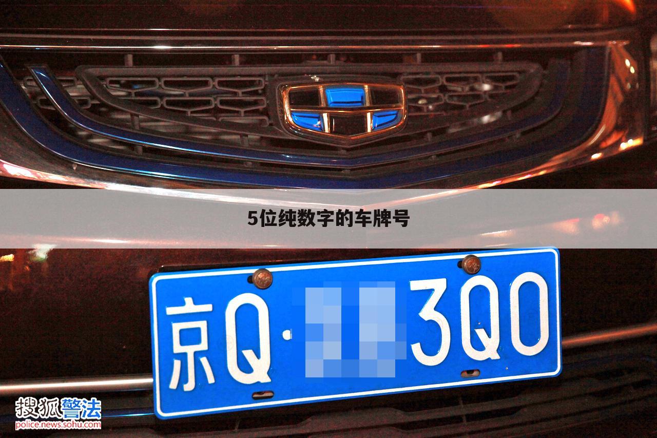 5位纯数字的车牌号