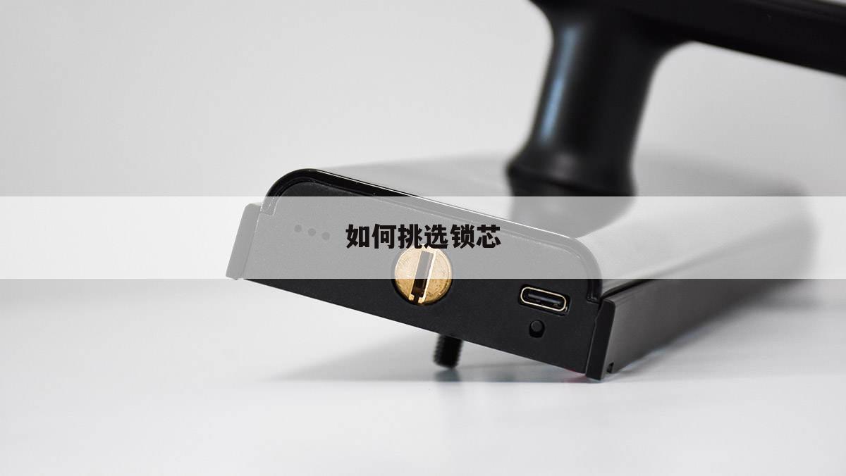 如何挑选锁芯