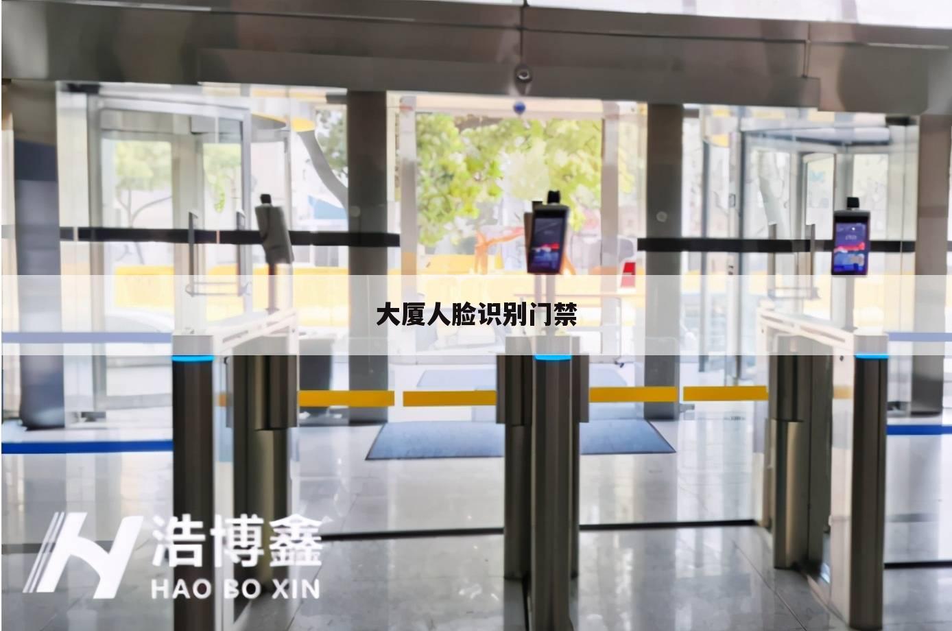 大厦人脸识别门禁