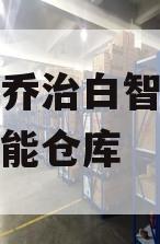 乔治白智能仓库