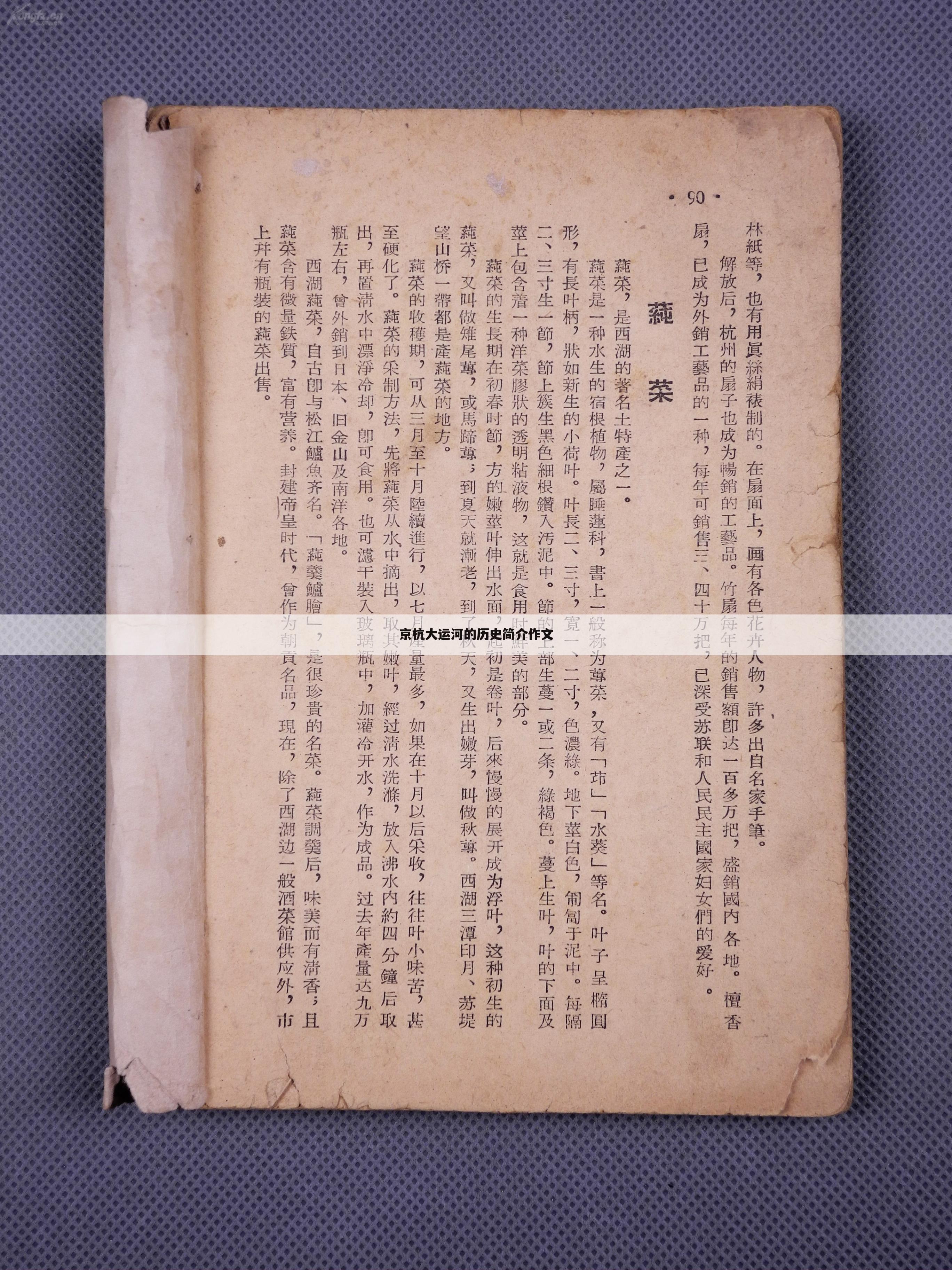 京杭大运河的历史简介作文