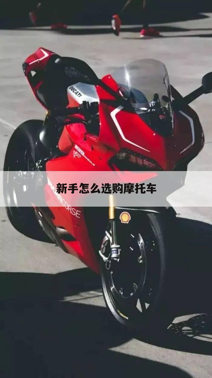 新手怎么选购摩托车
