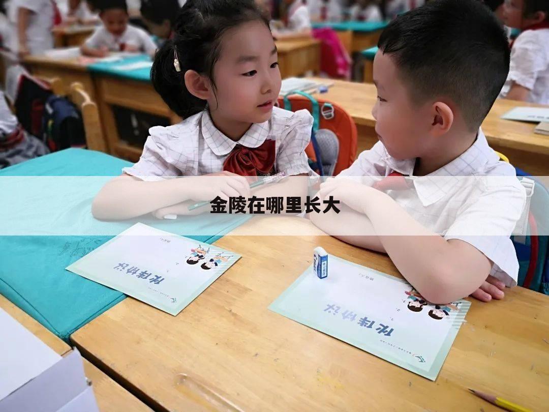 金陵在哪里长大