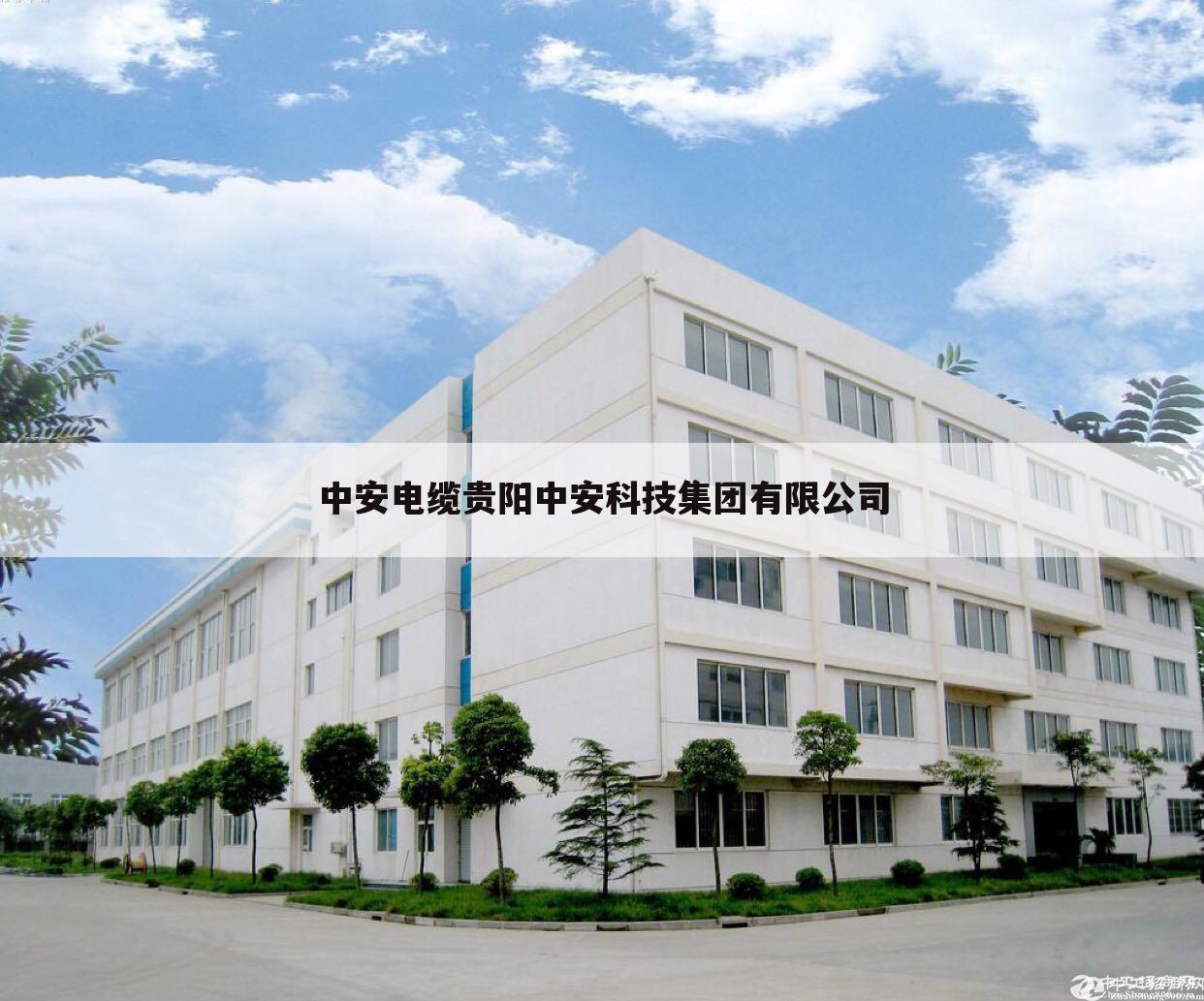 中安电缆贵阳中安科技集团有限公司