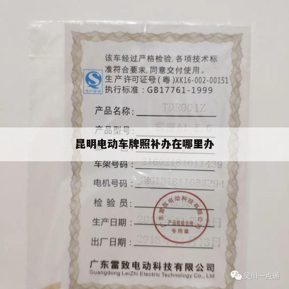昆明电动车牌照补办在哪里办