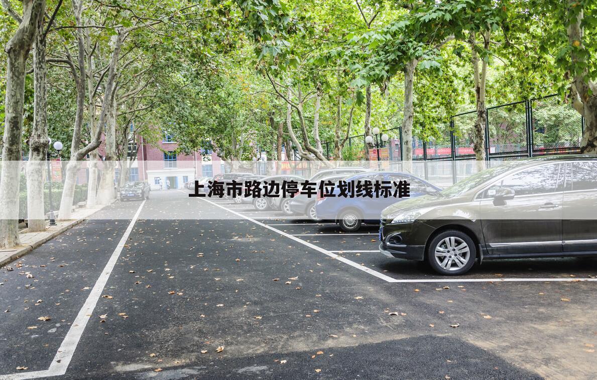 上海市路边停车位划线标准