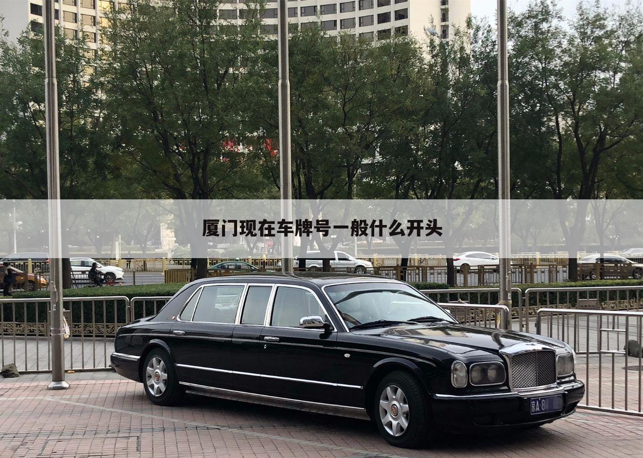 厦门现在车牌号一般什么开头