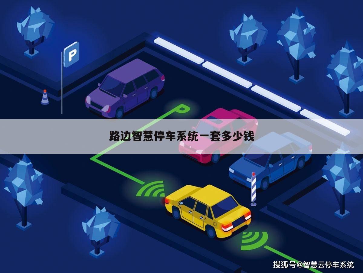 路边智慧停车系统一套多少钱