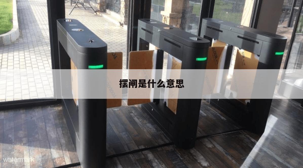 摆闸是什么意思