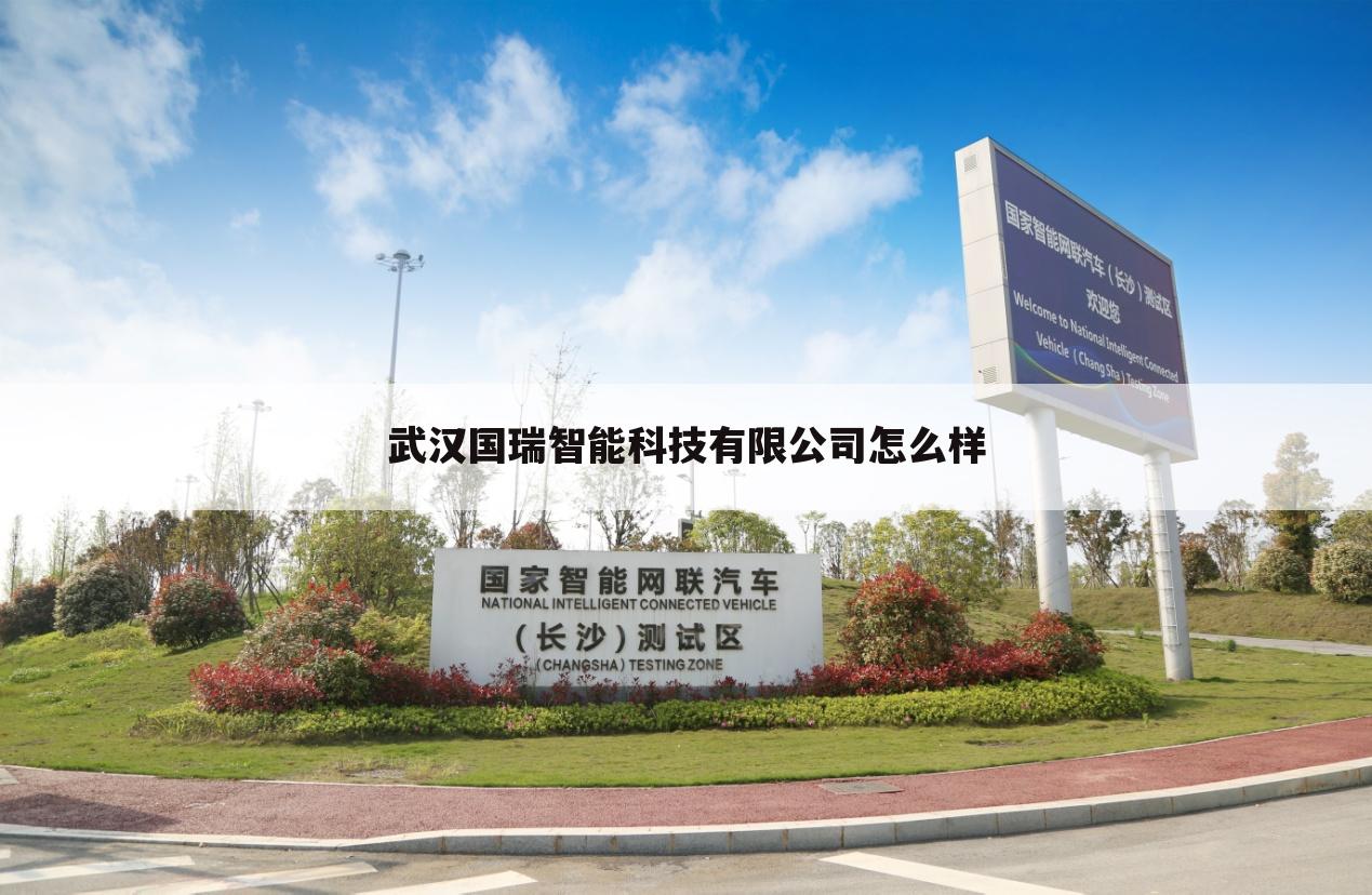 武汉国瑞智能科技有限公司怎么样