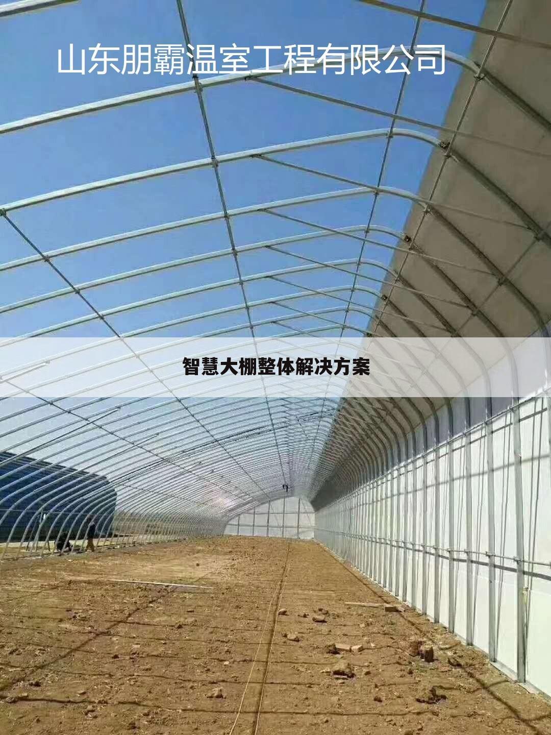 智慧大棚整体解决方案