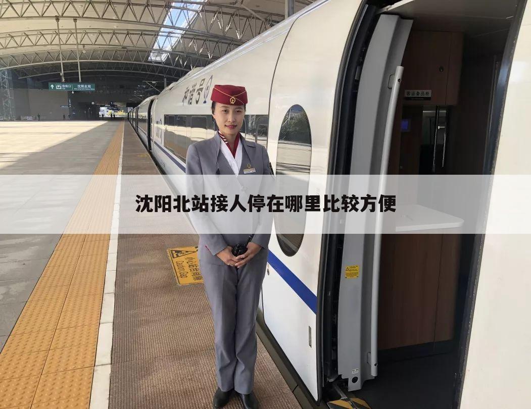 沈阳北站接人停在哪里比较方便