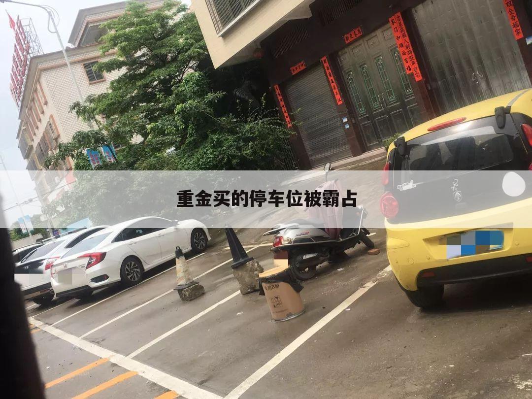重金买的停车位被霸占