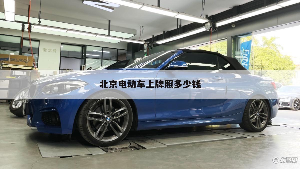 北京电动车上牌照多少钱