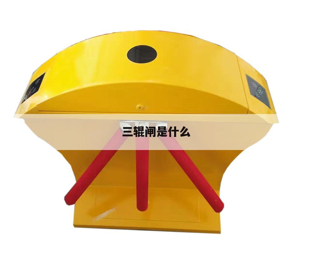 三辊闸是什么