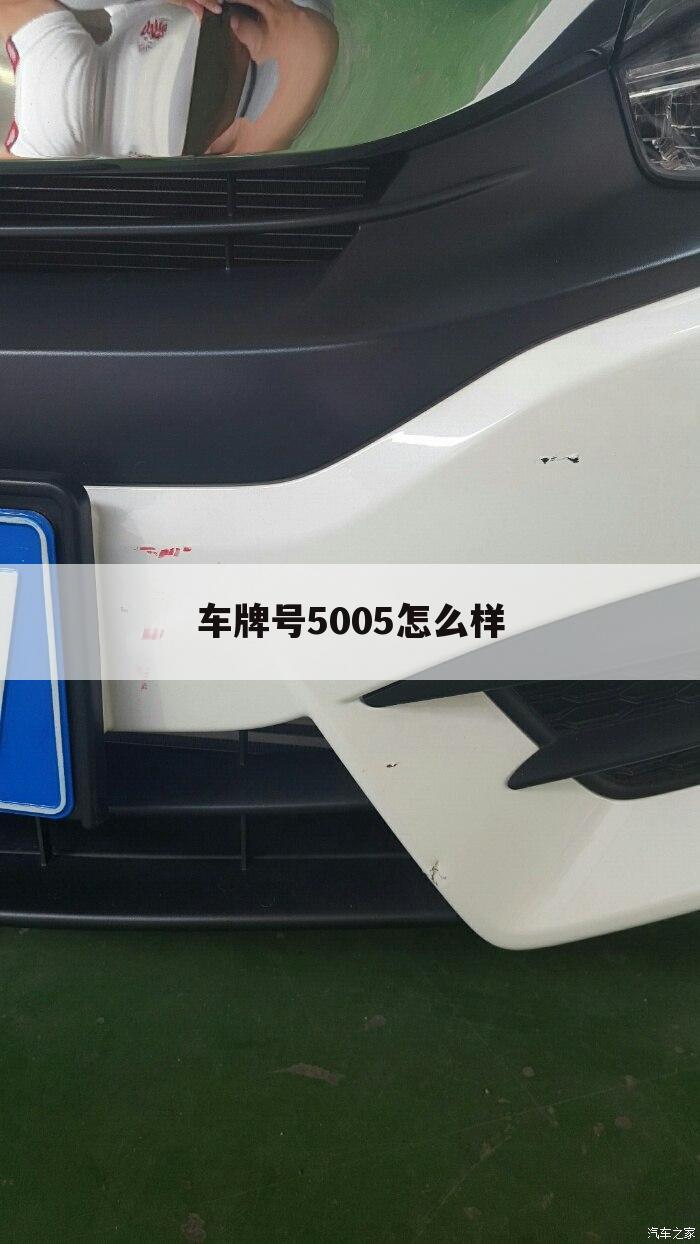 车牌号5005怎么样
