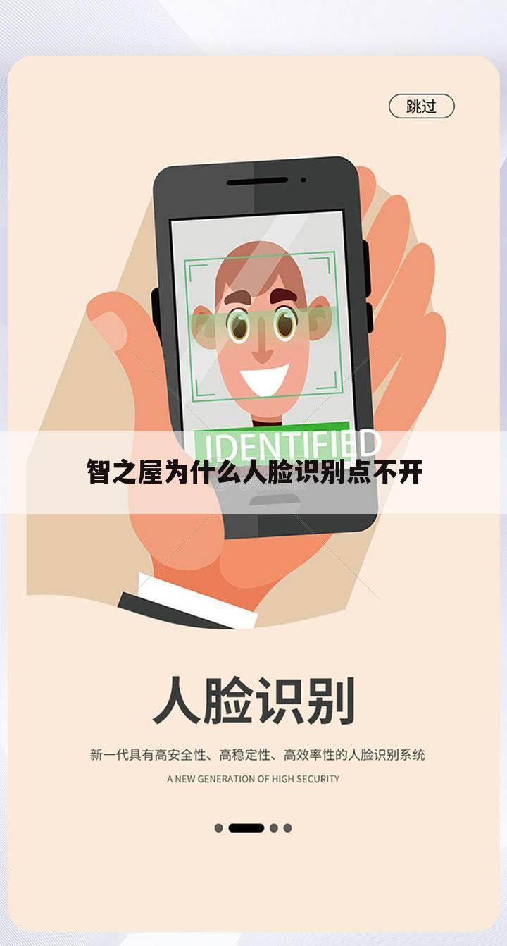 智之屋为什么人脸识别点不开