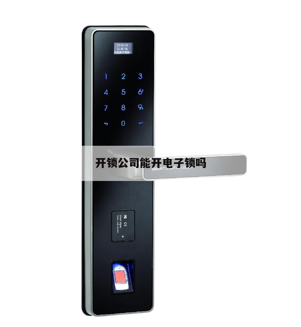 开锁公司能开电子锁吗