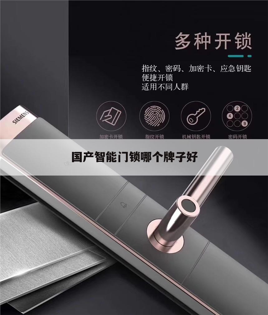 国产智能门锁哪个牌子好