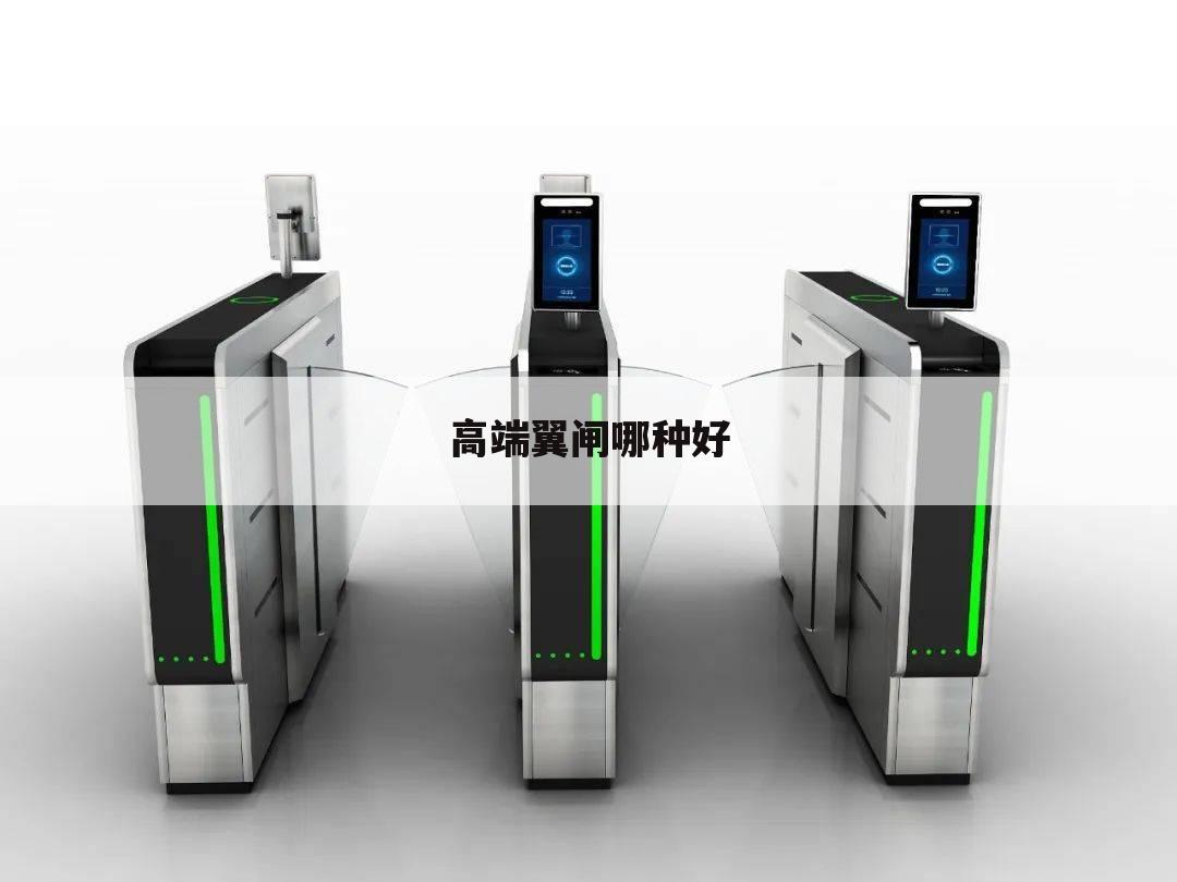 高端翼闸哪种好