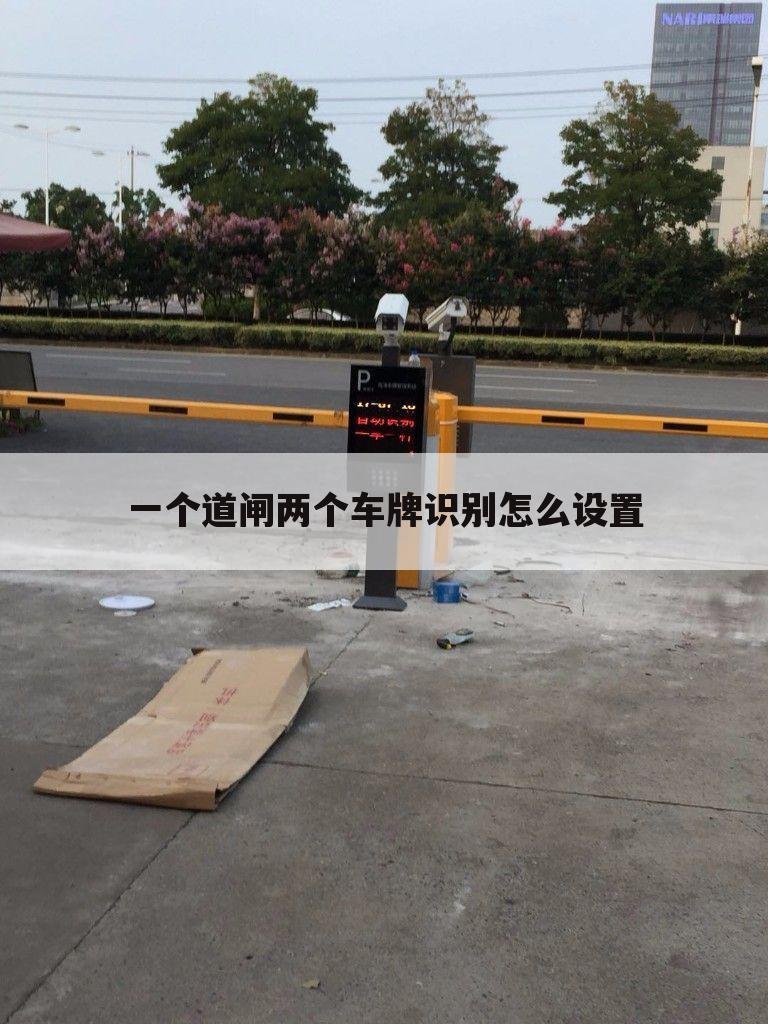 一个道闸两个车牌识别怎么设置