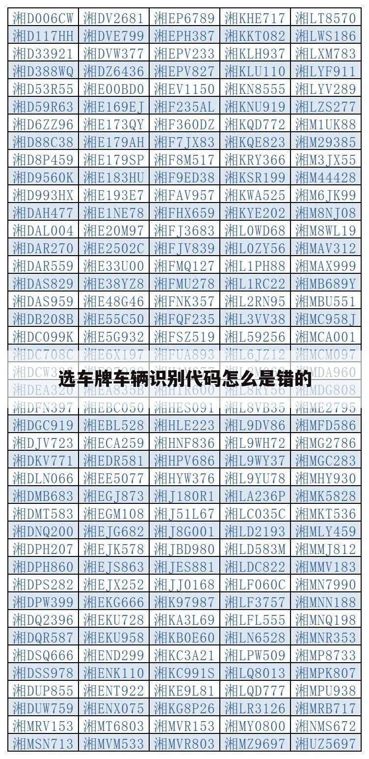 选车牌车辆识别代码怎么是错的