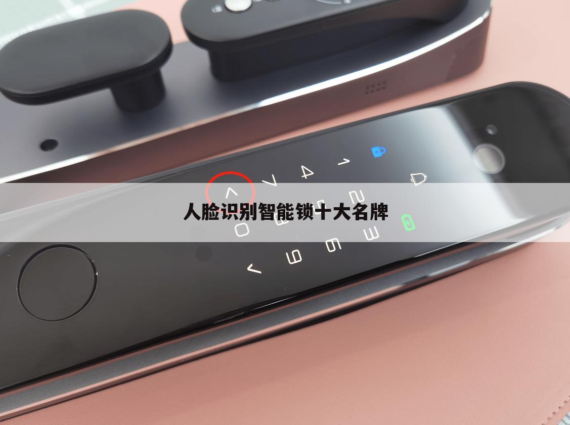 人脸识别智能锁十大名牌