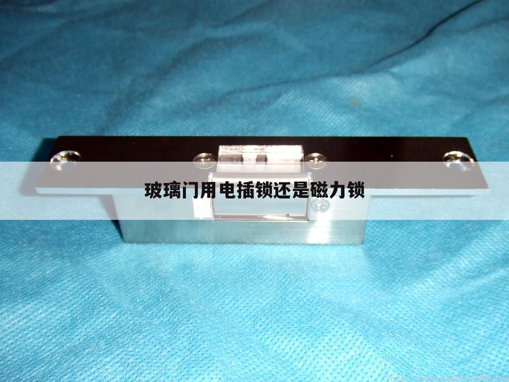 玻璃门用电插锁还是磁力锁