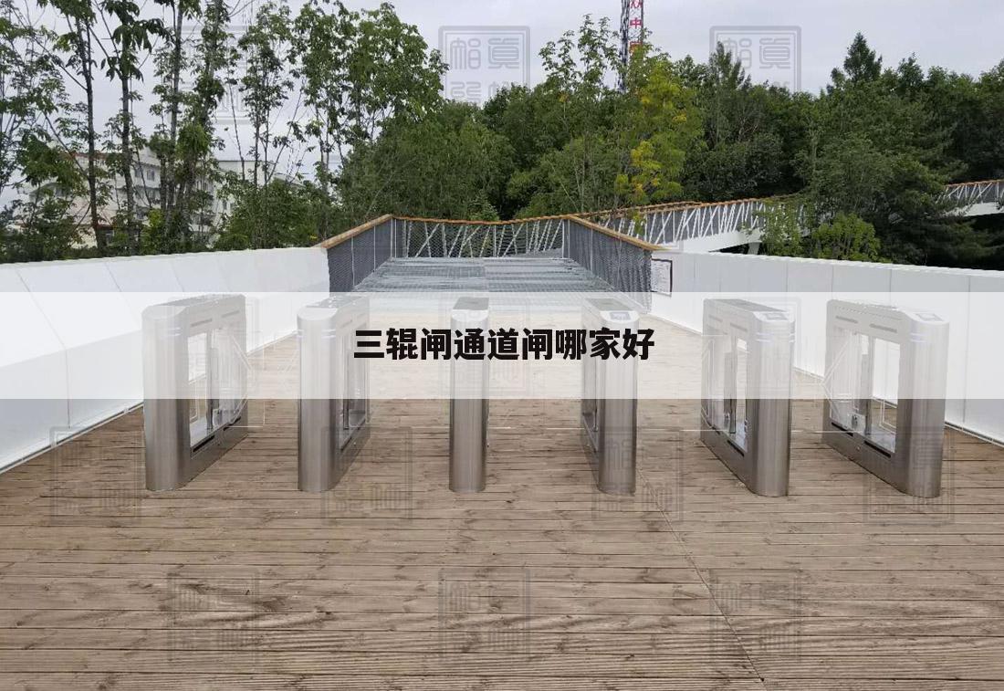 三辊闸通道闸哪家好