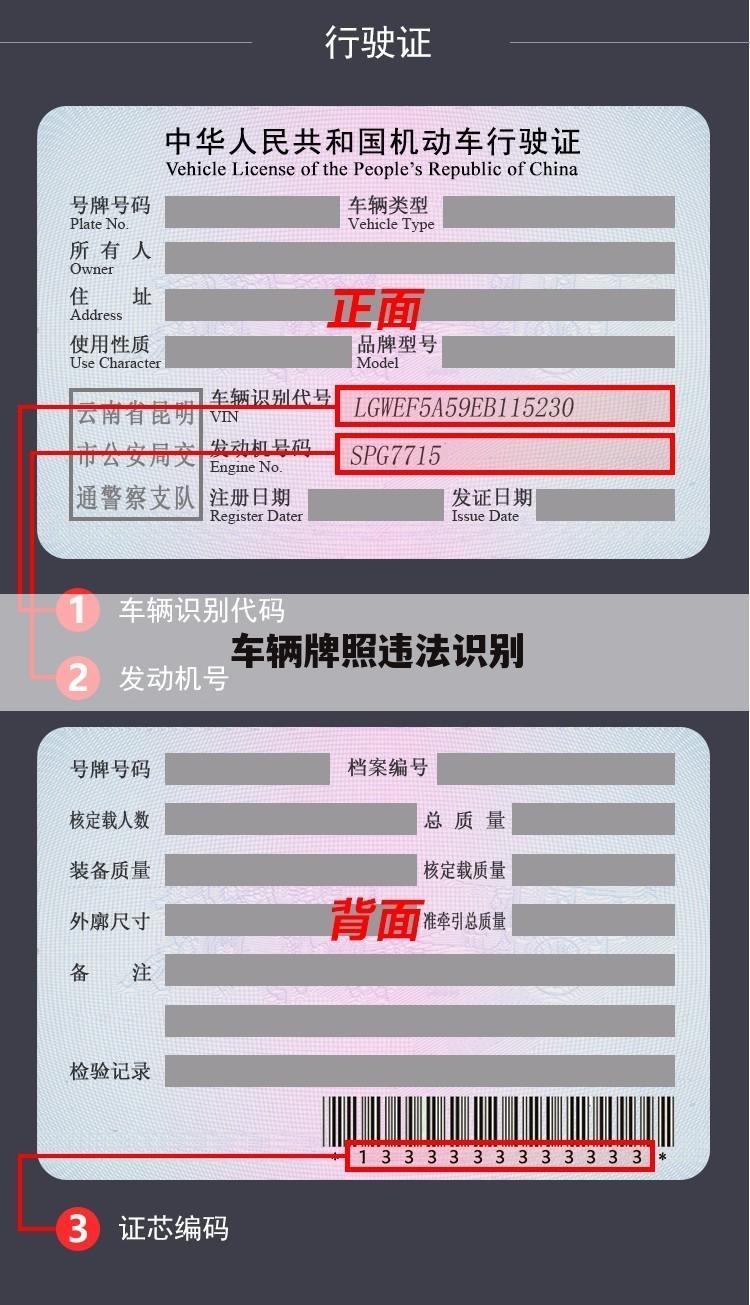 车辆牌照违法识别