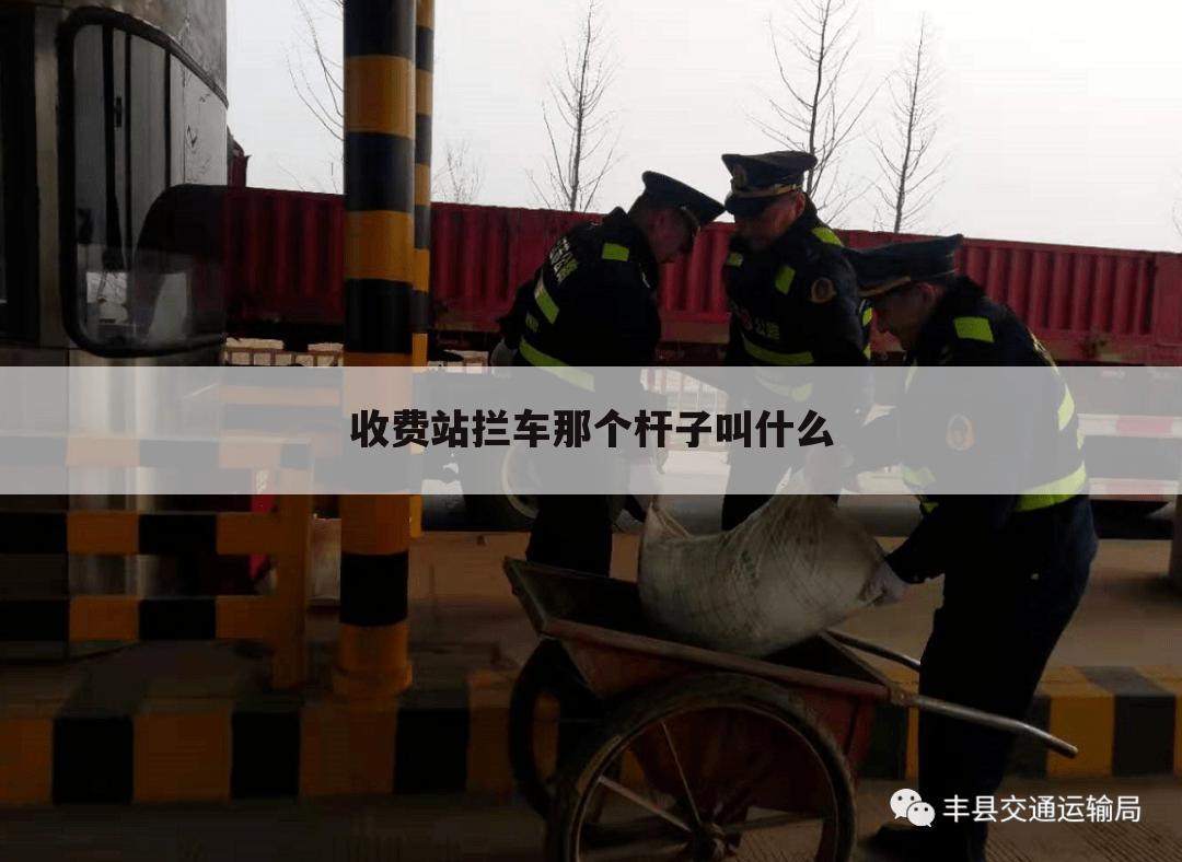 收费站拦车那个杆子叫什么