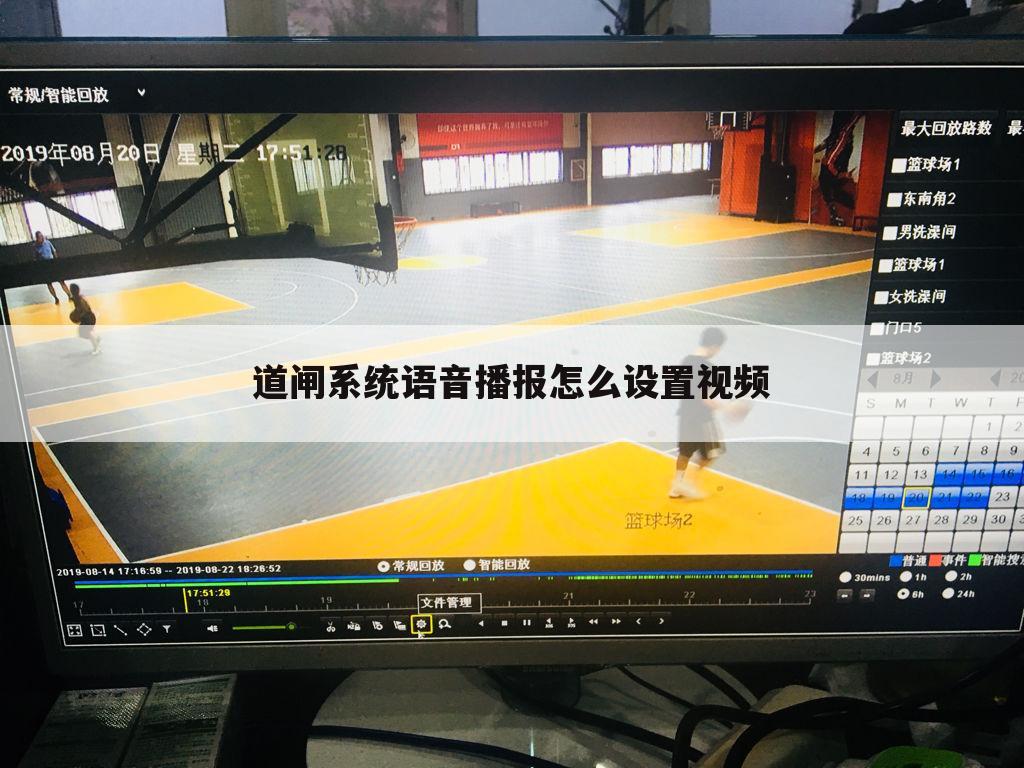 道闸系统语音播报怎么设置视频