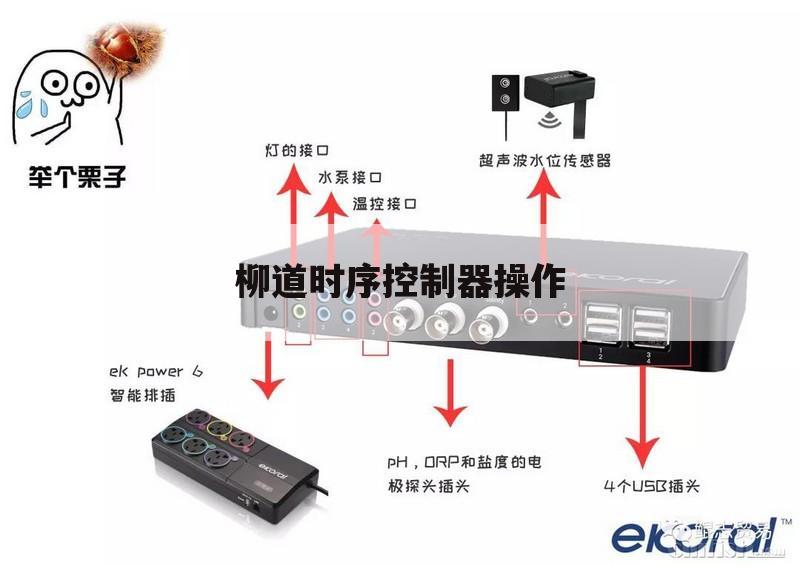 柳道时序控制器操作