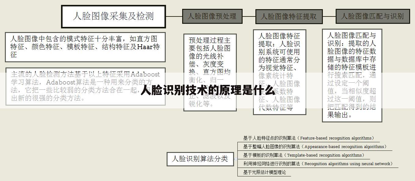 人脸识别技术的原理是什么