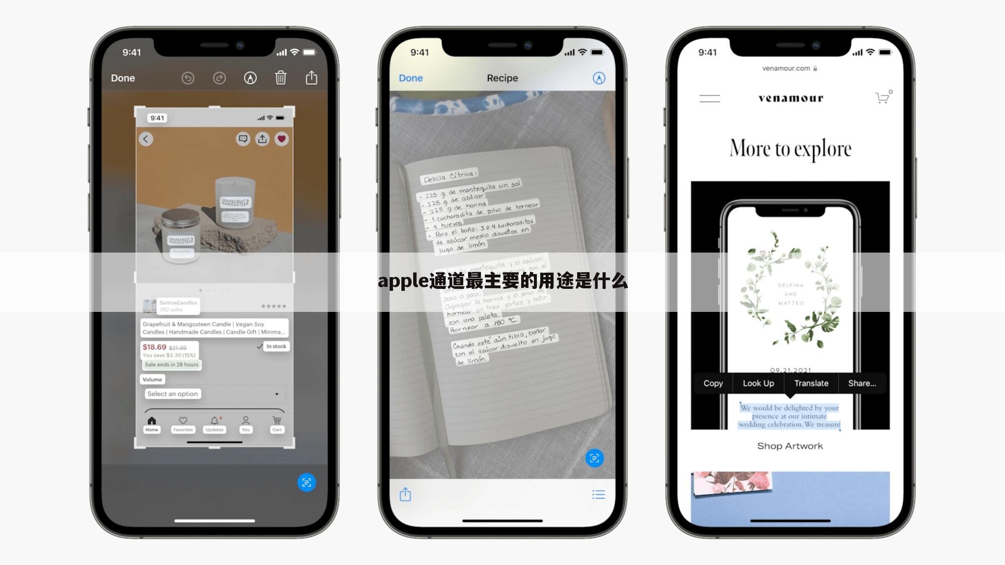 apple通道最主要的用途是什么