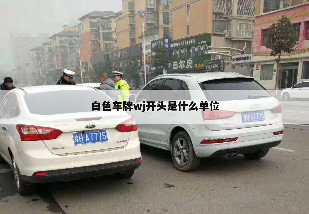 白色车牌wj开头是什么单位