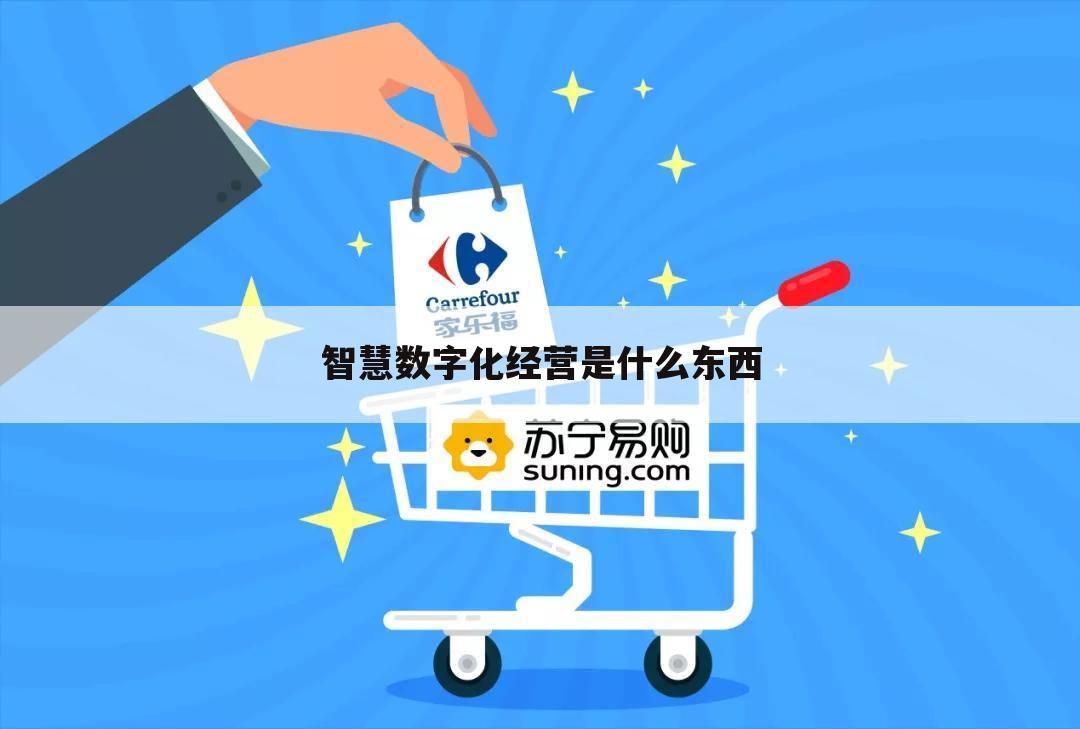 智慧数字化经营是什么东西