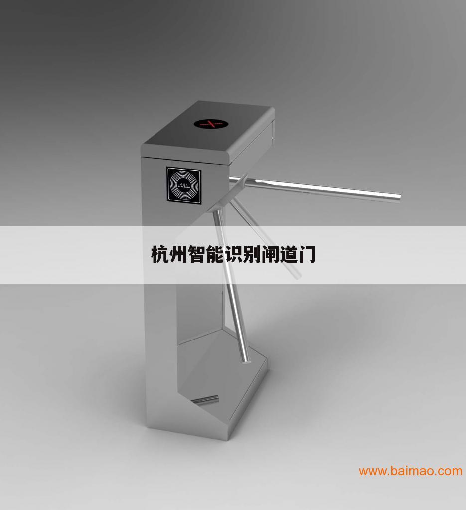 杭州智能识别闸道门
