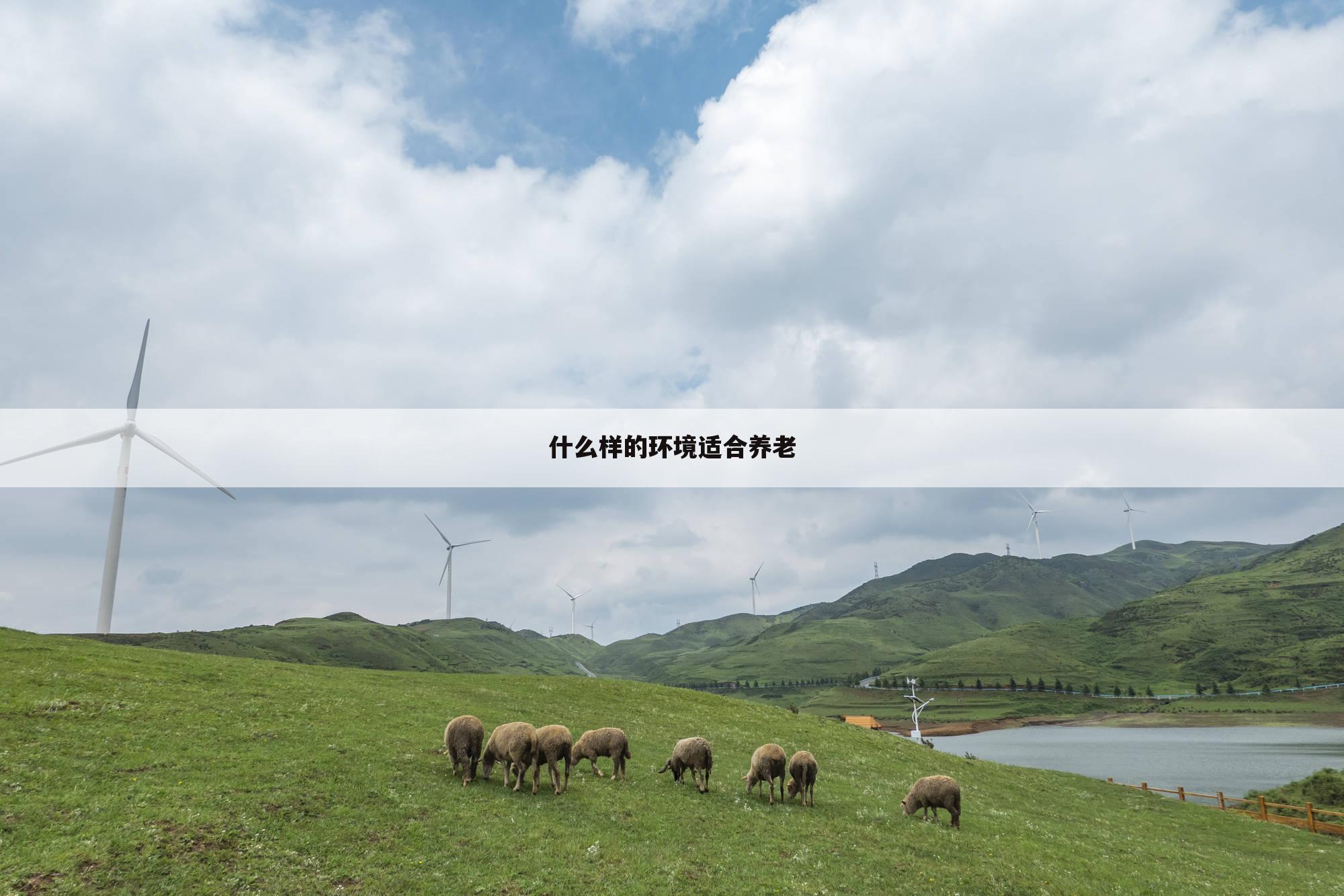什么样的环境适合养老
