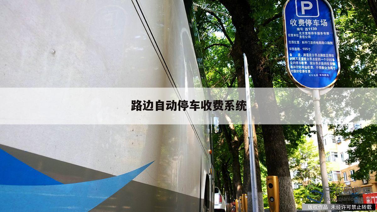 路边自动停车收费系统
