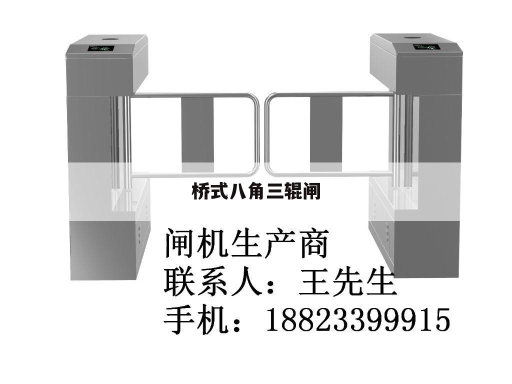 桥式八角三辊闸