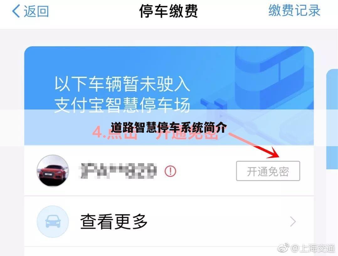 道路智慧停车系统简介
