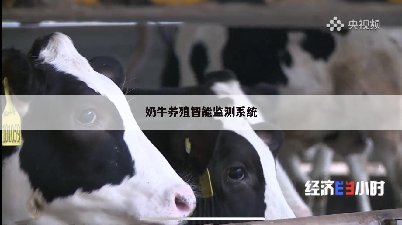奶牛养殖智能监测系统