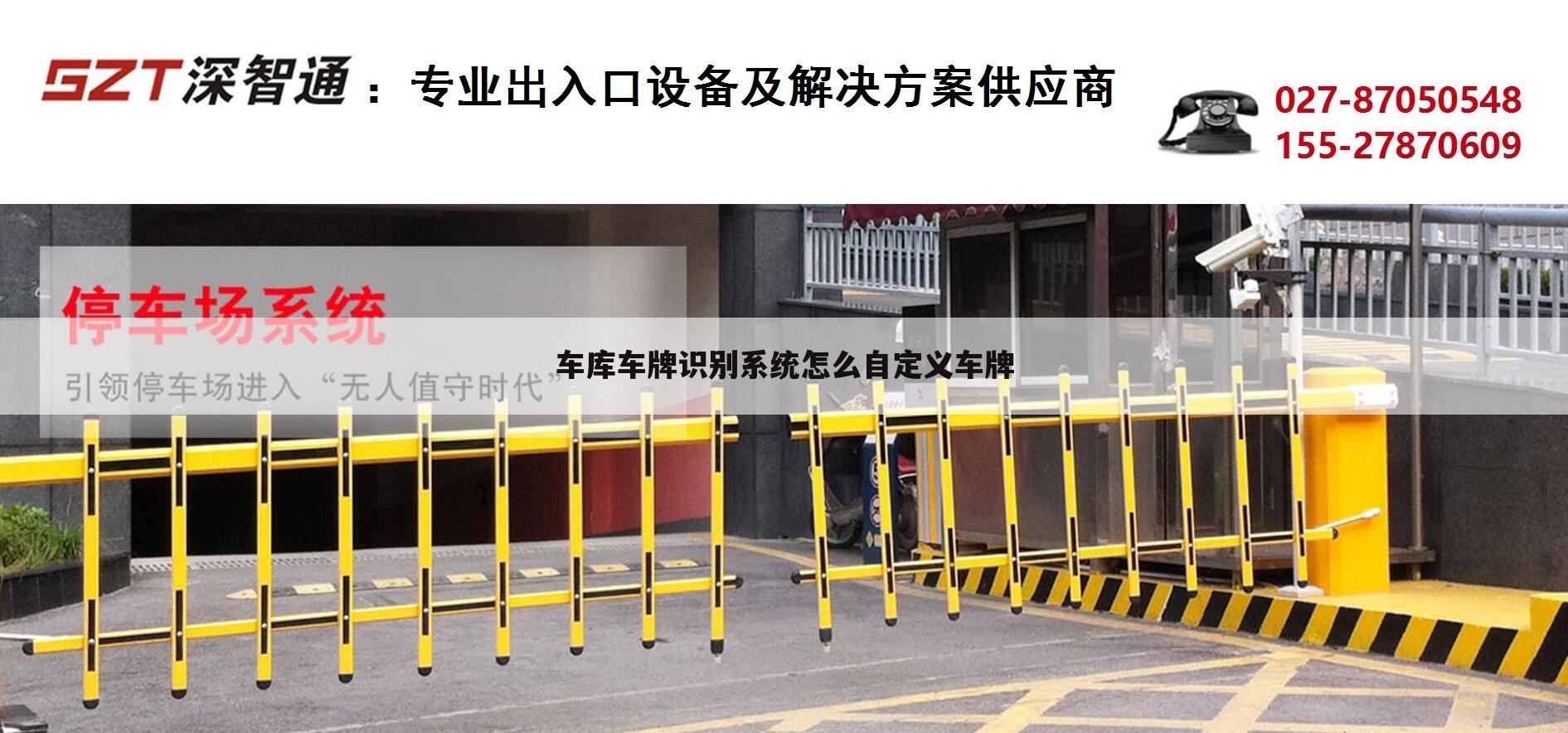 车库车牌识别系统怎么自定义车牌