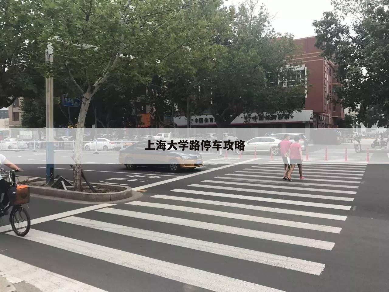 上海大学路停车攻略